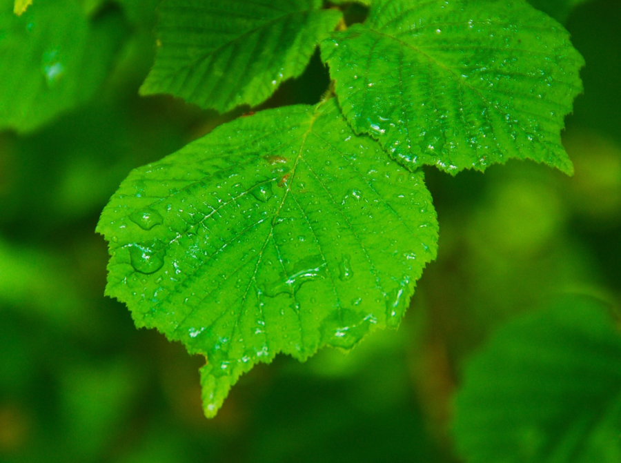 9e709013d51b697a570ad12d3923da02.jpg 图片